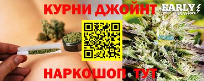 прущие грибы Жуковский