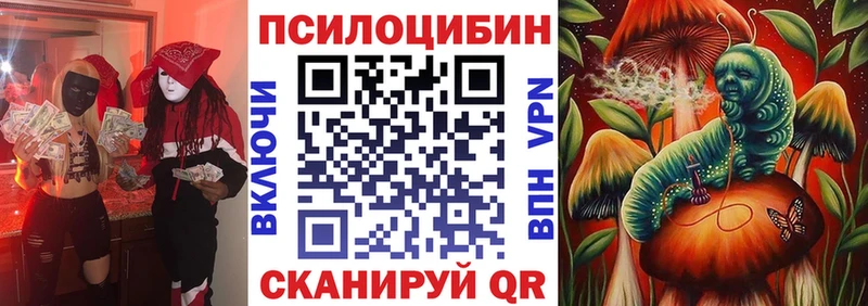 сайты даркнета клад  Моздок  Псилоцибиновые грибы Psilocybine cubensis 