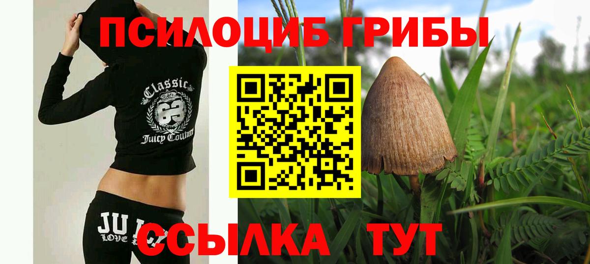 цена наркотик  Галлюциногенные грибы мицелий  Вход с VPN  Моздок 