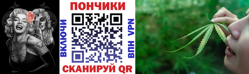Каннабис SATIVA & INDICA  ссылка на мегу ссылки  Моздок  где купить наркоту 